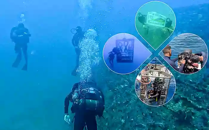 Sri Lanka & Indian Navy divers swap expertise in ‘IN-SLN DIVEX 2026’