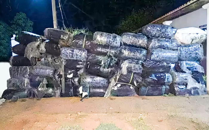 Navy seizes more than 2,360kg of smuggled Kendu leaves