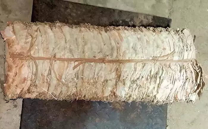 Navy seizes 618 kg of smuggled Kendu leaves in Puttalam raid
