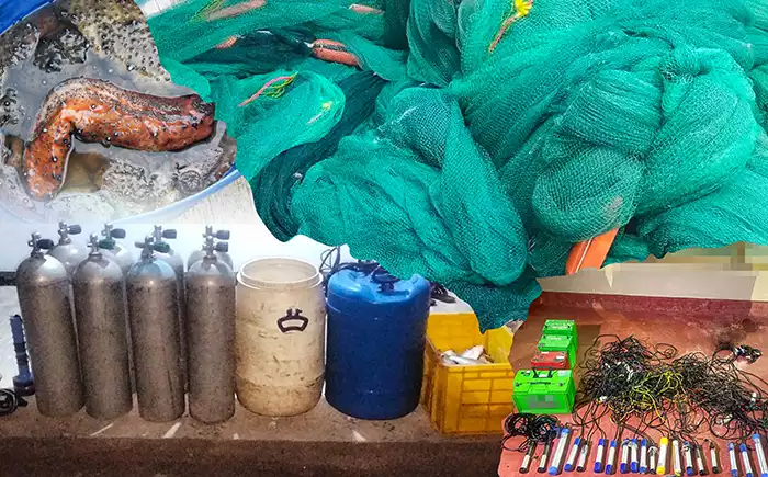 Navy nets 32 suspects in crackdowns on illegal fishing activities