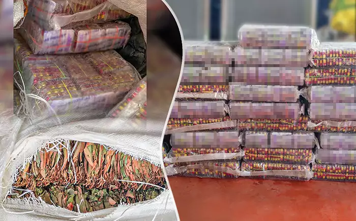 Suspect arrested in Kalpitiya with prescription drugs and Kendu leaves