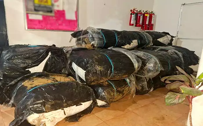 Smuggled consignment of Kendu leaves seized in Puttalam