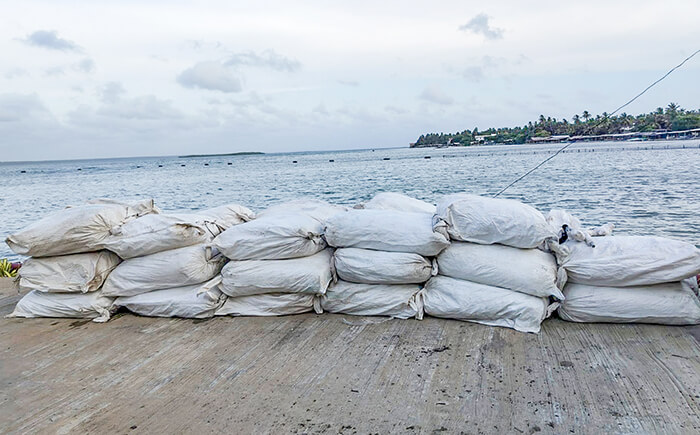 Navy nabs 03 suspects with 979kg of smuggled ginger in Kalpitiya