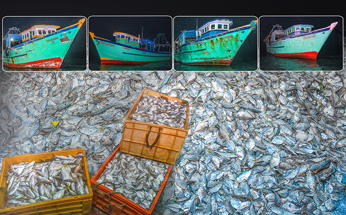 Navy seizes 05 Indian fishing boats poaching in Sri Lankan waters