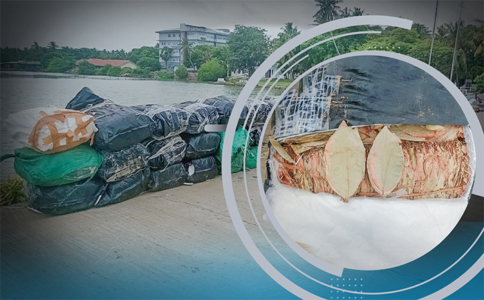 ඡායාරූපය- නීති විරෝධී ලෙස රට තුලට රැගෙන ඒම‍‍ට උත්සාහ කළ බීඩි කොළ කිලෝ 956 ක තොගයක් කල්පිටිය මුහුදේදී නාවික හමුදා භාරයට