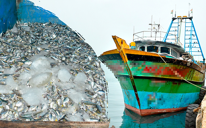 Navy seizes an Indian fishing boat poaching in northern waters of Sri Lanka