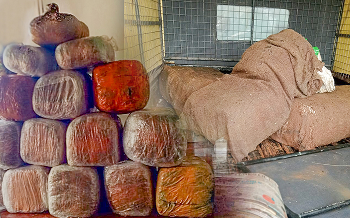 ඡායාරූපය- රුපියල් මිලියන 31කට අධික දළ වීථි වටිනාකමින් යුත් විදේශීය කංසා තොගයක් මුලතිව් පුදුමාතලන් ප්‍රදේශයේදි නාවික හමුදා භාරයට