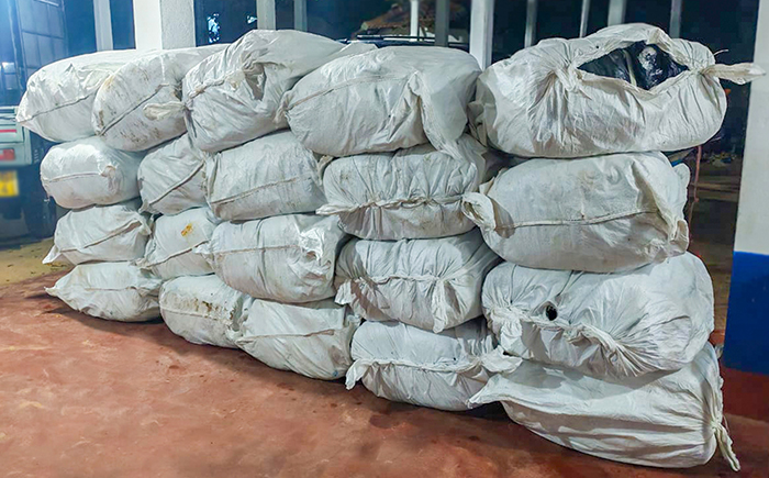 ඡායාරූපය- නීති විරෝධී ලෙස මෙරටට රැගෙන එන ලද බීඩි කොළ තොගයක් කල්පිටියේදී නීතියේ රැහැනට