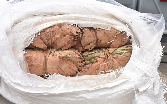 Navy takes hold of over 300kg of Kendu leaves from Marawila seas