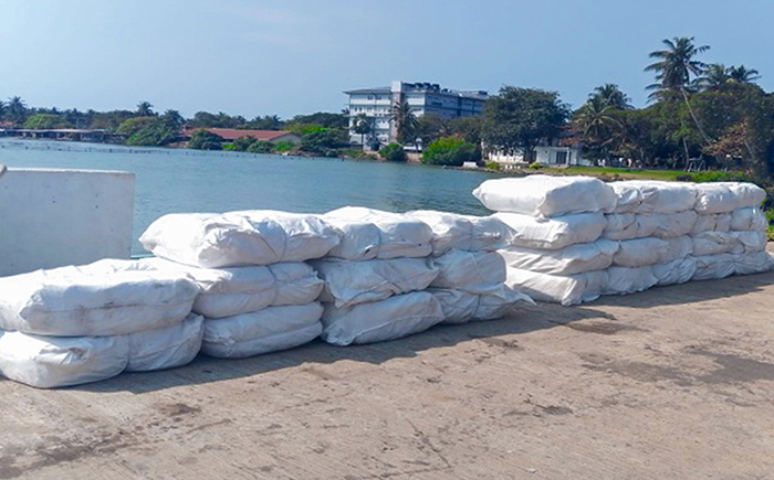 Navy seizes 882kg of smuggled Kendu leaves in Kalpitiya